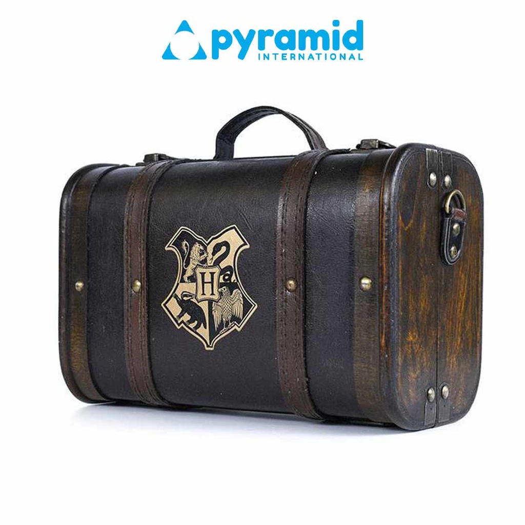 Pyramid - Harry Potter (Trouble Finds Me) Premium Gift Set
