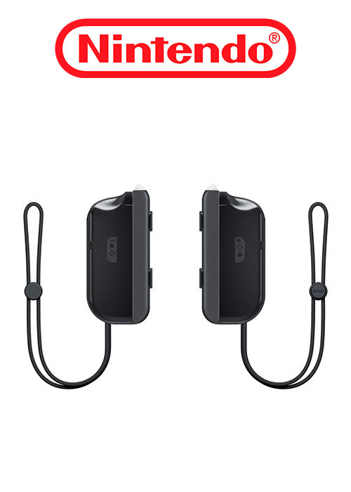 NS Joy-Con Battery Pack