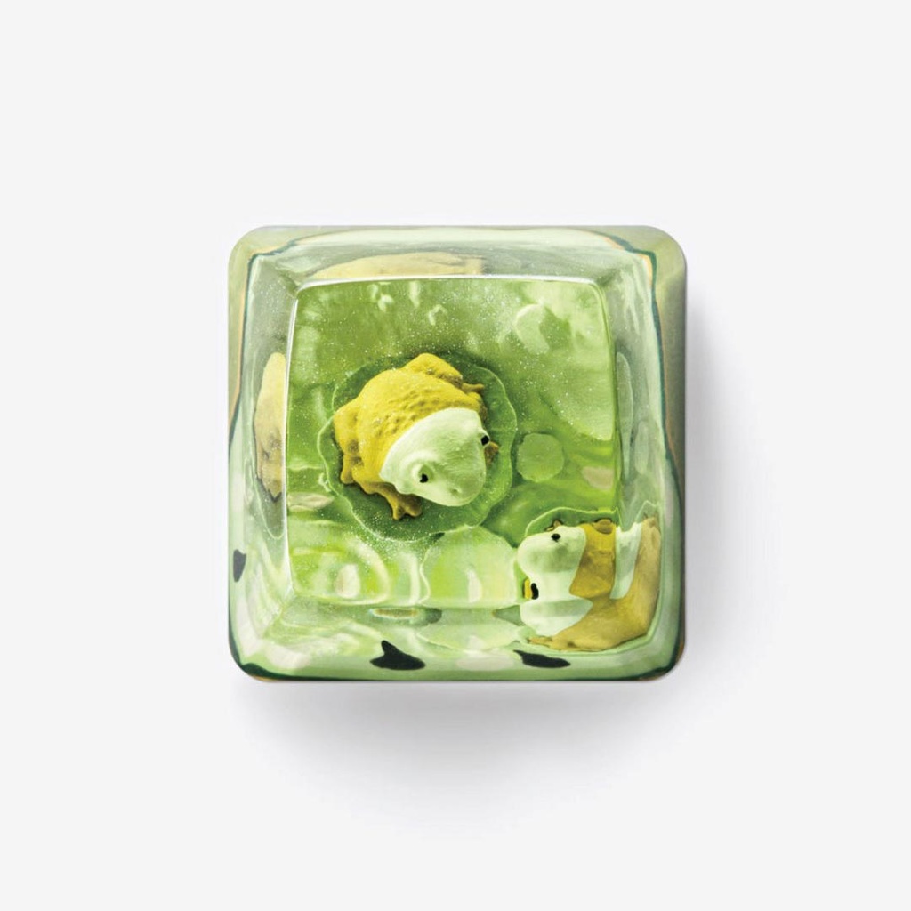 DWARF-FACTORY Anura Kiwi Keyboard Cap