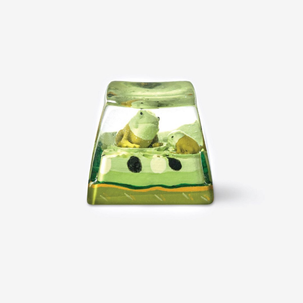 DWARF-FACTORY Anura Kiwi Keyboard Cap