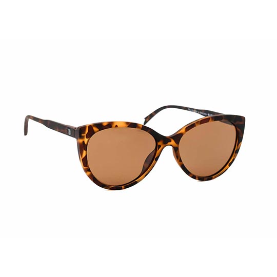 Barner Belleville Tortoise Sunglasses