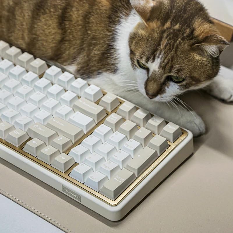 Varmilo Minilo98 Starstand Theme Prestige Voice Switches Keyboard