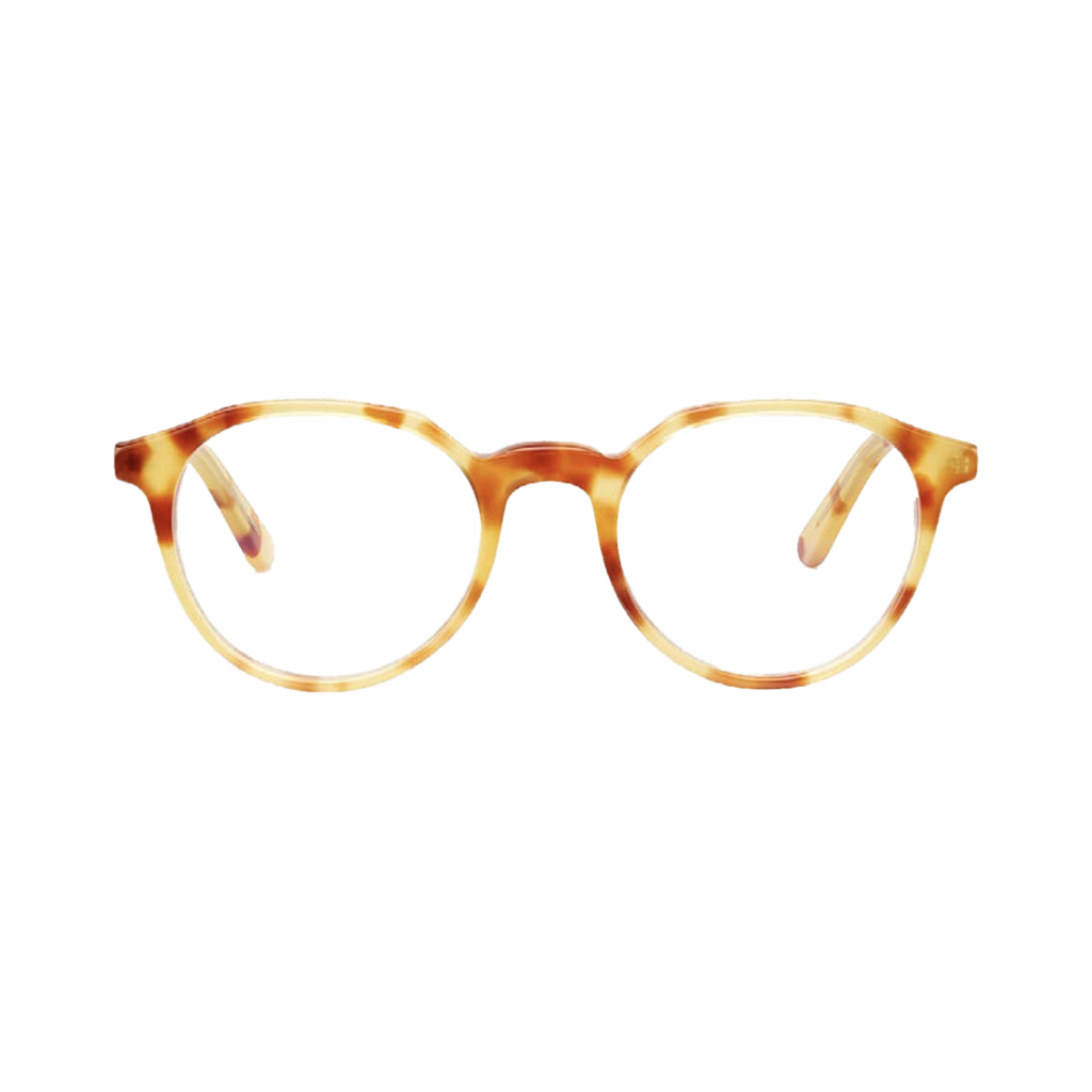 Barner Eye Wear Williams burgLight Havana