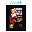 Pyramid - Super Mario Bros. (Nes Cover) - 30X40