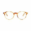 Barner Eye Wear Williams burgLight Havana