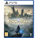 PS5 Hogwarts Legacy R2