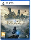 PS5 Hogwarts Legacy R2-