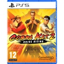 PS5 Cobra Kai 2: Dojos Rising R2