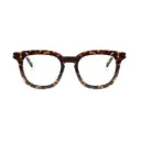 Barner Osterbro - Glossy Tortoise Glasses