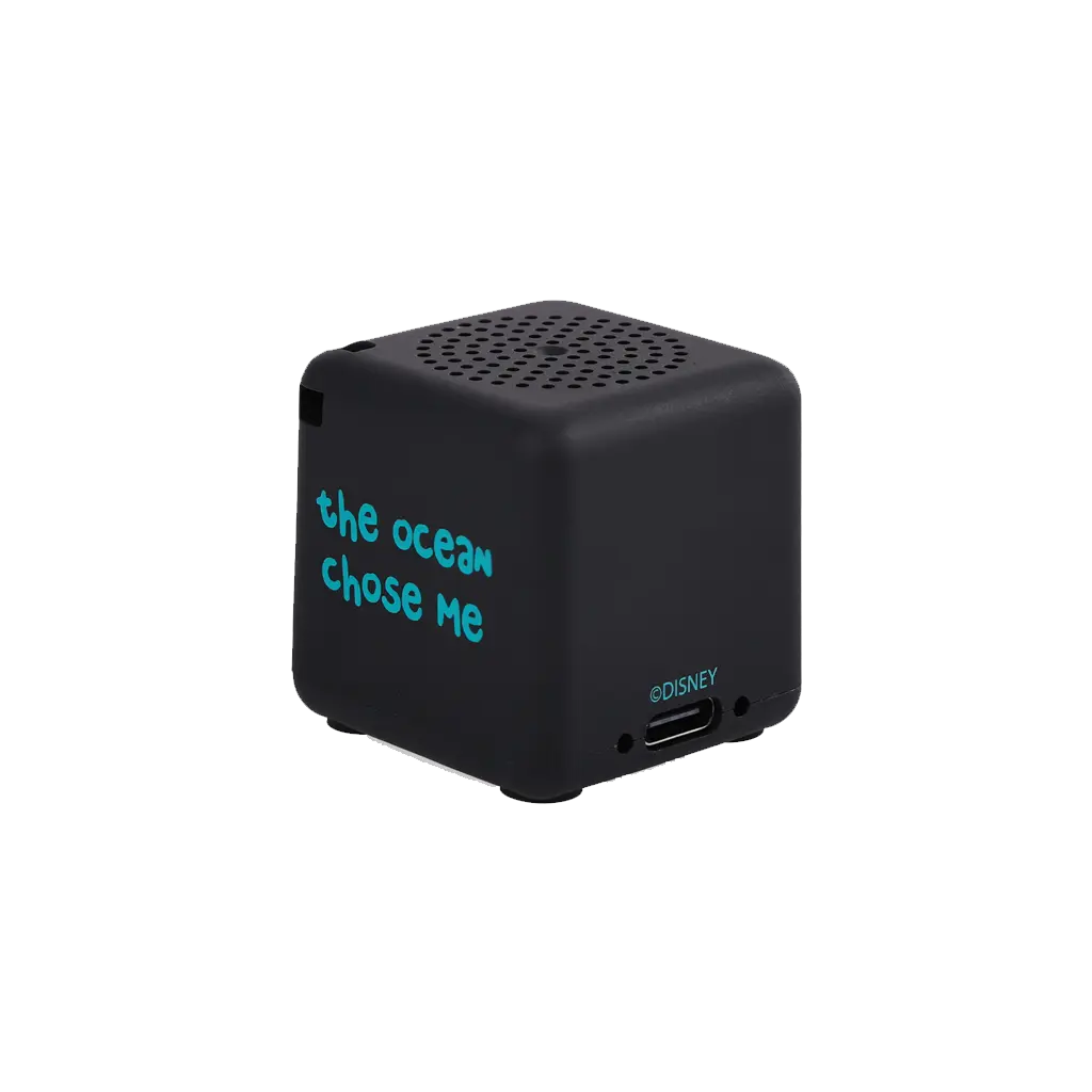 [699786] Bitty Boomers - Disney-Bitty Box Moana 3.webp