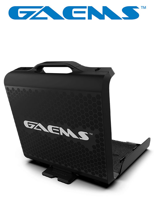 G170 Sentinel Performance Gaming Monitor Full HD 1080P (GAEMS)