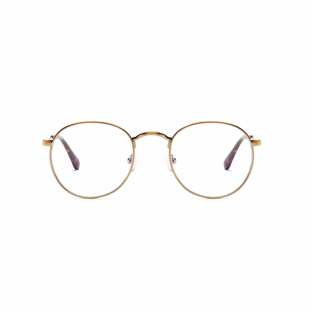 Barner Recoleta Gold Matte Glasses