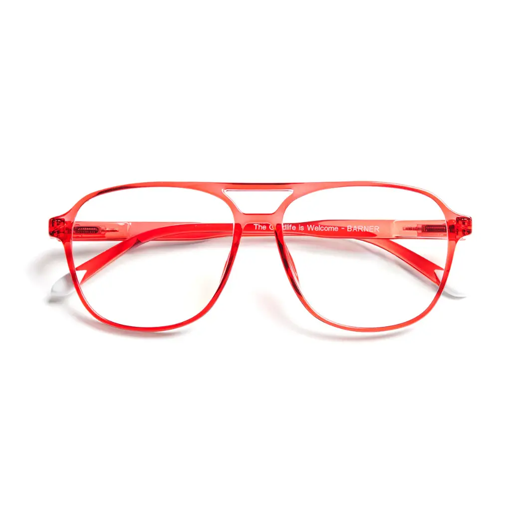 Barner Brad Glossy Radiant Red Glasses