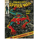 Pyramid - Spider-Man (100Th Anniversary) 30X40